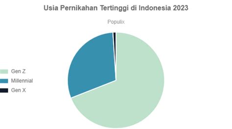 rata-rata umur pria menikah di indonesia